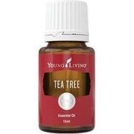 茶樹精油 tea tree