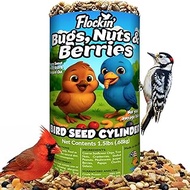 Bugs, Nuts & Berries Bird Seed Cylinder with Hole – Wild Bird Food for Woodpeckers, Blue Jays, Nutha