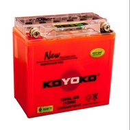 KOYOKO 12N9L-BS Battery Nanogel 12N9LBS