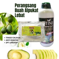 Pupuk Penyubur Buah Alpukat, Pupuk Npk Cair Untuk Menyuburkan Akar Dan