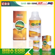 QnC Jelly Gamat Emas Herbal Asli β Suplemen Sehat 100% Original CV Jogja Natural Herbal Indonesia