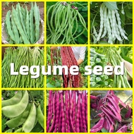Legume Seed - 豆子种子 9 Kinds of Fresh Beans Seed for Planting Vegetables High Yielding Legume Vegetabl