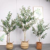 Simulation Tree Nordic ins Simulation Olive Tree Green Plant Potted Plant Large Fake Plant Ornaments