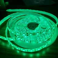 LED Strip 5050 Green 24V 1 roll 5mtr