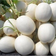 Vegetable Fruit Seed Fruit Melon Watermelon Cantaloupe Melon Seed Vegetable Seed Potted Vegetable Se