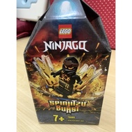 Lego Ninjago Spinjitzu Burst 70685
