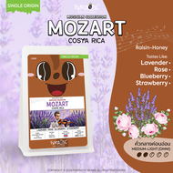 เมล็ดกาแฟ Costa Rica Mozart Musician Collection คั่วกลางอ่อน FANTASTIC Beans Coffee