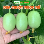 Combo 3 Bịch Hạt giống dưa leo Ngọc Nữ tự thụ phấn dễ trồng năng suất cao ngon ngọt - h2t farm