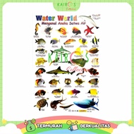 Water World Learning Fish Poster Kids Educational Toy