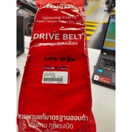 BELTING FORZA 250 (NSS250)