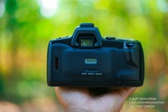 ขายกล้องฟิล์ม Minolta a303si serial 02809246 Body Only กล้องฟิล์มถูกๆ สำหรับคนอยากเริ่มถ่ายฟิล์ม พร้อมเลนส์ Minolta 75-300mm