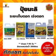 ปุ๋ย ปุ๋ยมะลิ ระยะเก็บดอก เร่งดอก ปุ๋ยกิฟฟารีน โบโรแคล เกรทกรีน ปุ๋ยเกล็ด 10-52-17 ท๊อปเอ็น เจอร์มิเ