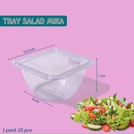 Milo Ice Cream Mica Fruit Salad Mica Vegetable Salad Plastic FoodGrade 500ML Contents 25PCS