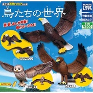 TOMY T-ARTS Bird World Golden Eagle Eagle White-Headed Eagle Owl Ornaments Capsule Toys