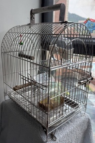 鳥籠 鸚鵡籠 雀仔籠 不鏽鋼 九成新