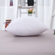 Passion sofa backrest pillow bantal sofa bantal tidur