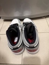 Nike Air Jordan 1 Low Light Smoke Grey
