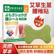 《活血化瘀丨15片裝》日本漢方藥業 艾草生薑腰椎保健貼 天然草本腰椎熱敷貼 舒緩腰椎痛保健貼 腰部按摩熱敷貼 溫熱舒緩腰痛護理貼 腰椎痠痛保健貼片 緩解腰椎僵硬貼片 腰椎熱敷膏藥貼丨腰部護理用品