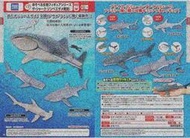 【鋼彈世界 】預約07月新品T-ARTS(轉蛋)可動生物模型-THE鯊魚 發現鯨鯊 全4種整套販售