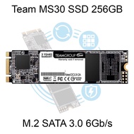 TEAM MS30 M.2 Sata-2280 256GB