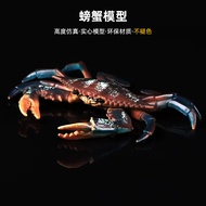 Simulation Crab Model Green Crab Sea Crab Shuttle Crab Children's Toys Marine Life Animal Ornaments 
