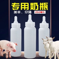 Lamb Dedicated Baby Bottle Little Pig Baby Bottle Baby Bottle Nipple 0 to 3 Months Feeder Shock-resistant Animal Pig Piglet