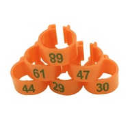 Cincin Kaki Burung Merpati Ring Merpati Ring Jepit Kaki Burung Merpati Ring Burung Merpati