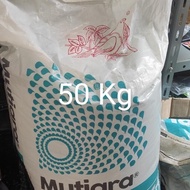 pupuk npk 50 kg mutiara