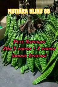 Pete Superan 20k/5papan+2papan Jamin ketagihan pull tua dan josss