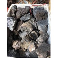 Gia Lai Black Stone Aquarium Setup 1.0kg