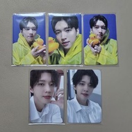 infinite 南優鉉 Whitree 專輯 植木日3 演唱會 特典卡