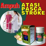 Obat Stroke Struk Herbal Obat Stroke Ringan Berat Lumpuh Menahun Ampuh DANSTRO