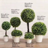 Nordic Style Simulation Green Plant Potted Plant Decoration Indoor Living Room Bedroom Artificial Fl