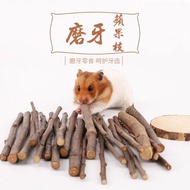 🇲🇾Apple branch stick 20/50g Hamster molar apple stick Snack Apple hamster molarstick guinea pig chin