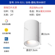 Waterproof IP65 Surface Mount Downlight