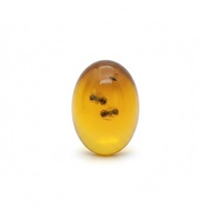 Genuine Amber Rubber Stone Rare Insectnatural - Premium Golden Amber Inclusion Collector Item & Feng