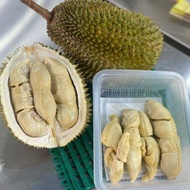 【FROZEN】(Dusun Tok Wa) Durian Kampung Musang King Musang QueenD101 D24 Udang Merah Chanee Mas Tempoy
