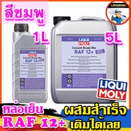 LIQUI MOLY น้ำยาหล่อเย็น Coolant Ready Mix RAF 12 PLUS ขนาด 1 ลิตร และ 5 ลิตร (สูตรผสมสำเร็จ)