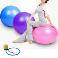 Gym Ball Portable Gym Yoga Fitness Workout Ball at Home