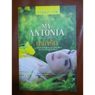 The Novel "First Love"