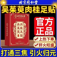 Hot Cold Beijing Cinnamon Foot patch Introduction Yuan Wu Dogwood Tongrentang patch la2