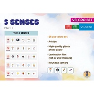 Interactive Worksheet | Busy Book - 5 Senses