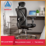 Ergonomic Office Chair - [SG Ready Stock] Rolling Home Desk Chair with 4D Adjustable Armrest, 3D Lumbar Support - Chair