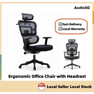 Brand New Ergonomic Office Gaming Chair Fully Customizable Mesh Ergonomic Office Chair/Computer Chair/Study Gaming Chair