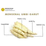 Umbi Garut Segar Tarigu Fresh Obat Asam Lambung Gerd