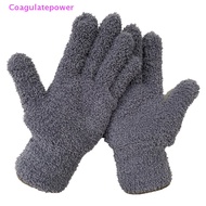 Coa MICROFIBRE GLOVE TOUCH TO CLEAN SUPER SOFT DUST EATING WASHING GLOVE MITT Wer