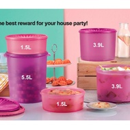 Tupperware Deco Canister Level January 1.5L(2) 3.9L(2)  5.5L(1)