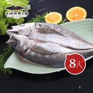 【大鯖魚夢工廠】竹筴魚一夜干8尾(200~240g)