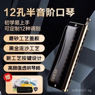 EASTTOP Oriental Ding Chromatic Harmonica Professional Performance12Hole c Beginner Student Dreamer2