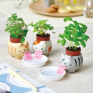 Peropon 新版 吐舌動物自動吸水種植組 貓咪大集合